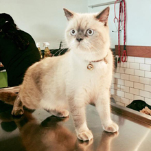 Img 2